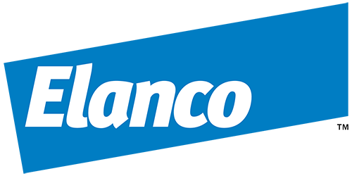 Ela2D_Lrg4C_500x250
