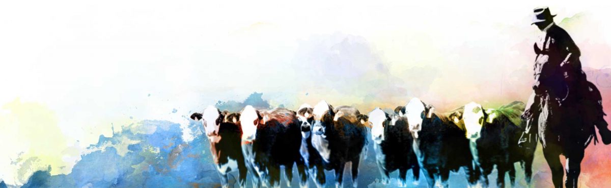 HeaderCowboyImage4