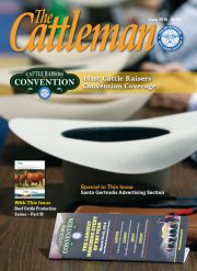 1117-cover