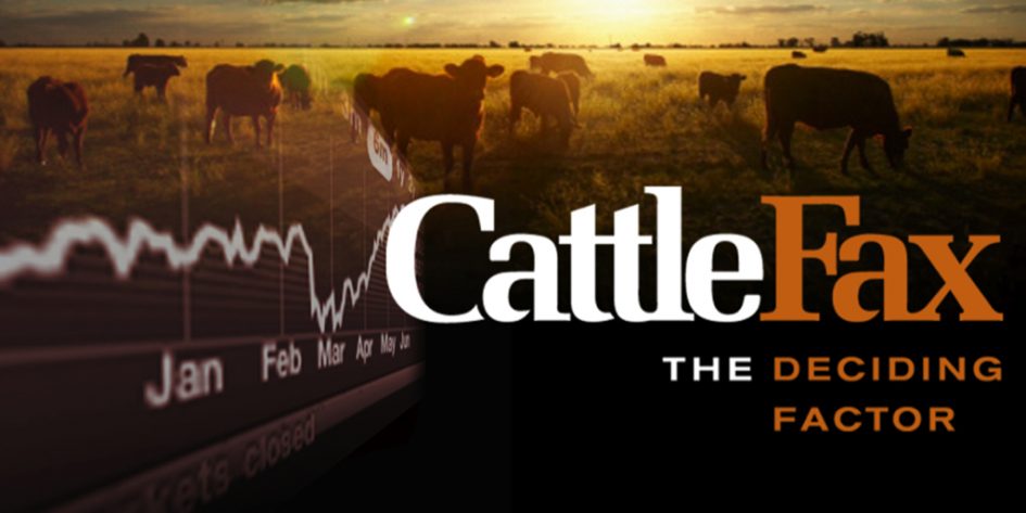 CATTLEFAX-header1