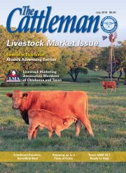 1117-cover