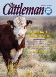 1117-cover