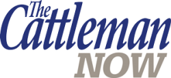 CattlemanNow-logo