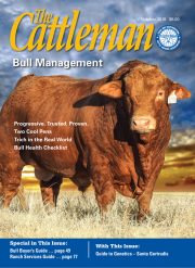 1117-cover