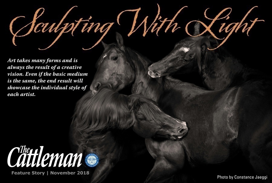 PinterestImage_HorsePhotography