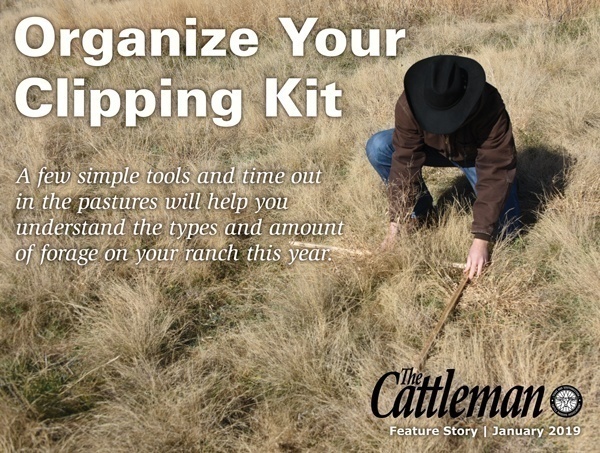Pinterest_OrganizeYourClipKit_0119