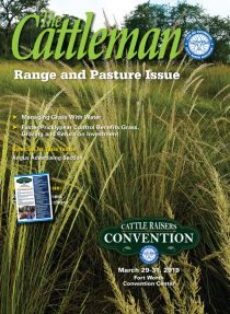 Cover0219
