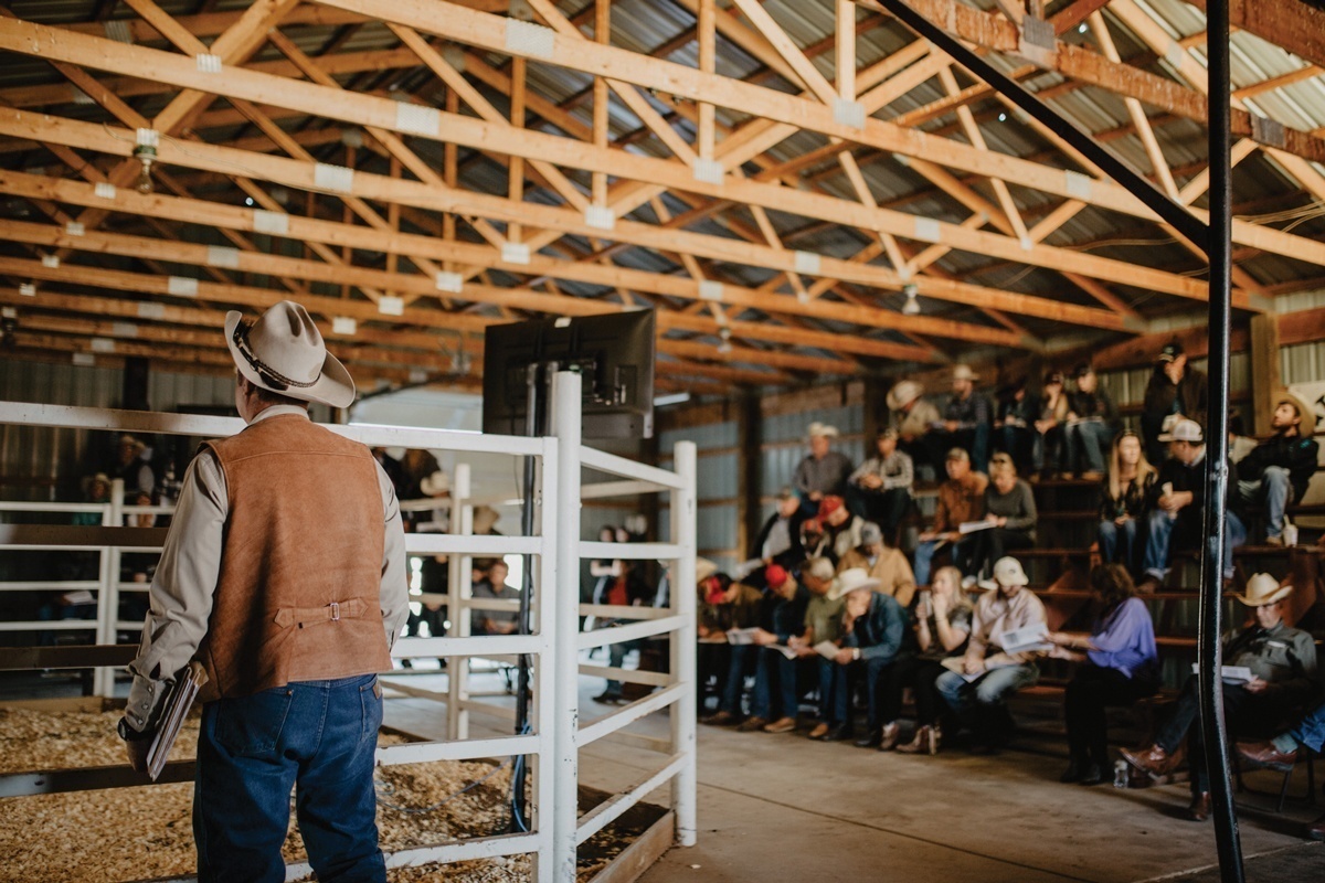 20180908_aSASS_LasaterBullSale058_WEB