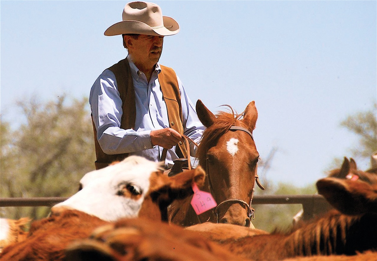 20180908_aSASS_LasaterBullSale058_WEB
