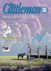 0319-cover