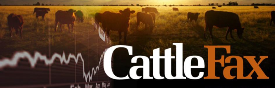 CATTLEFAX-header1-945x303