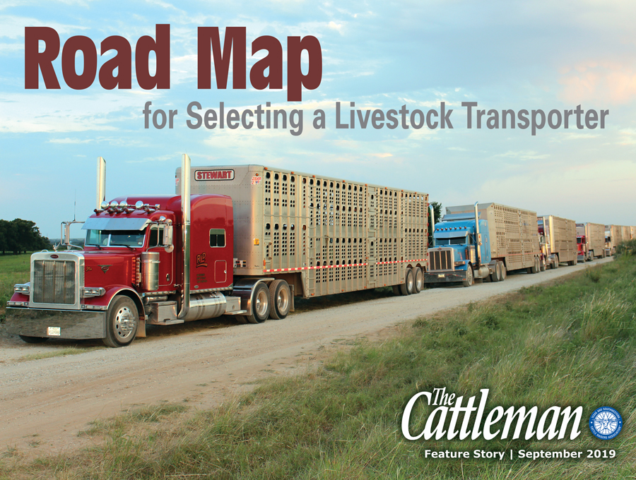 texas and southwestern cattle raisers | road map