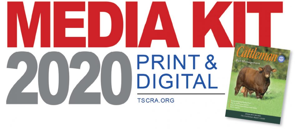 MediaKit_Header