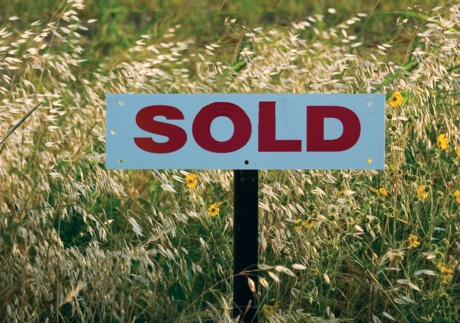 bigstock-Sold