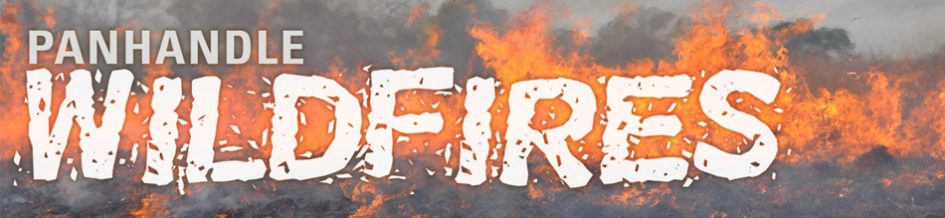 WILDFIRES_header