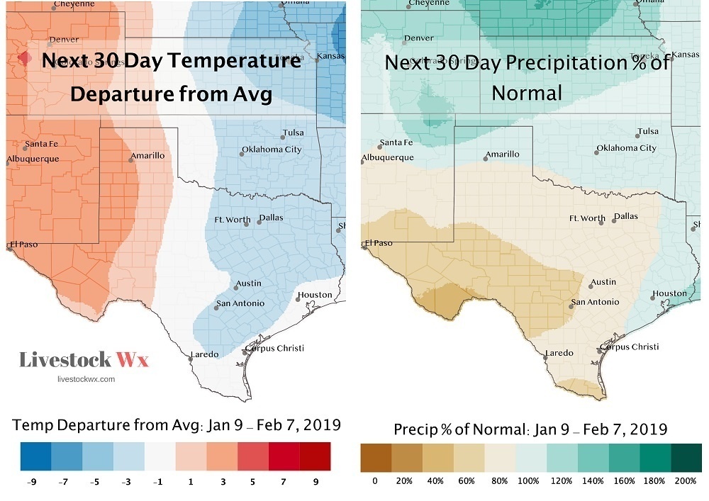 SPONSORED CONTENT The Livestock Weather report for Jan. 17 takes a look at the latest seasonal outlooks for precipitation and temperatures. Livestock Wx is exclusive information on the latest weather trends and outlook for TSCRA members.