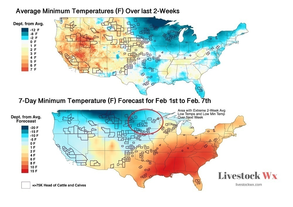 SPONSORED CONTENT The Livestock Weather report for Jan. 31 covers the next 7 days of warmth in the Southern Plains and if there's any relief from the cold snap in the North. Livestock Wx is exclusive information on the latest weather trends and outlook for TSCRA members. 