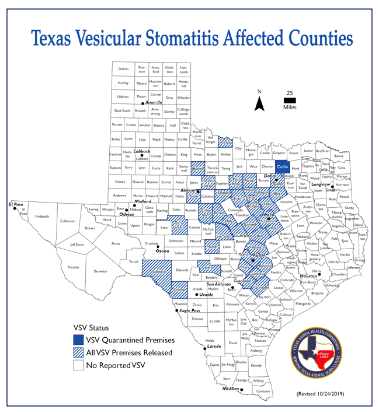 Vesicular stomatitis isn't done with Texas, yet - Texas and Southwestern  Cattle Raisers Association