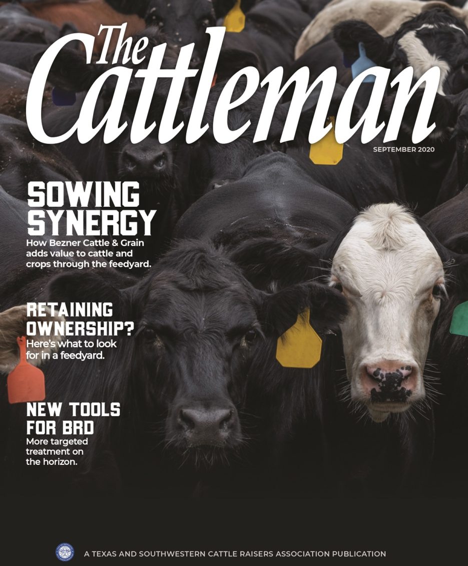 Beef cattle magazine