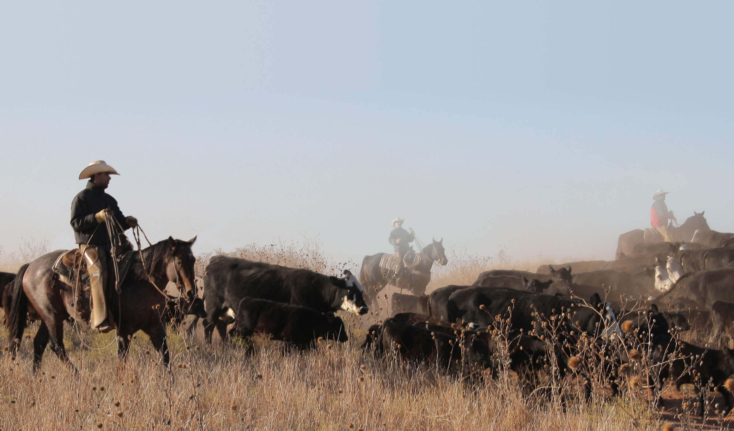 District 21, Region 5 - Texas and Southwestern Cattle Raisers Association