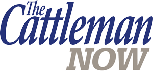 The Cattleman Now logo