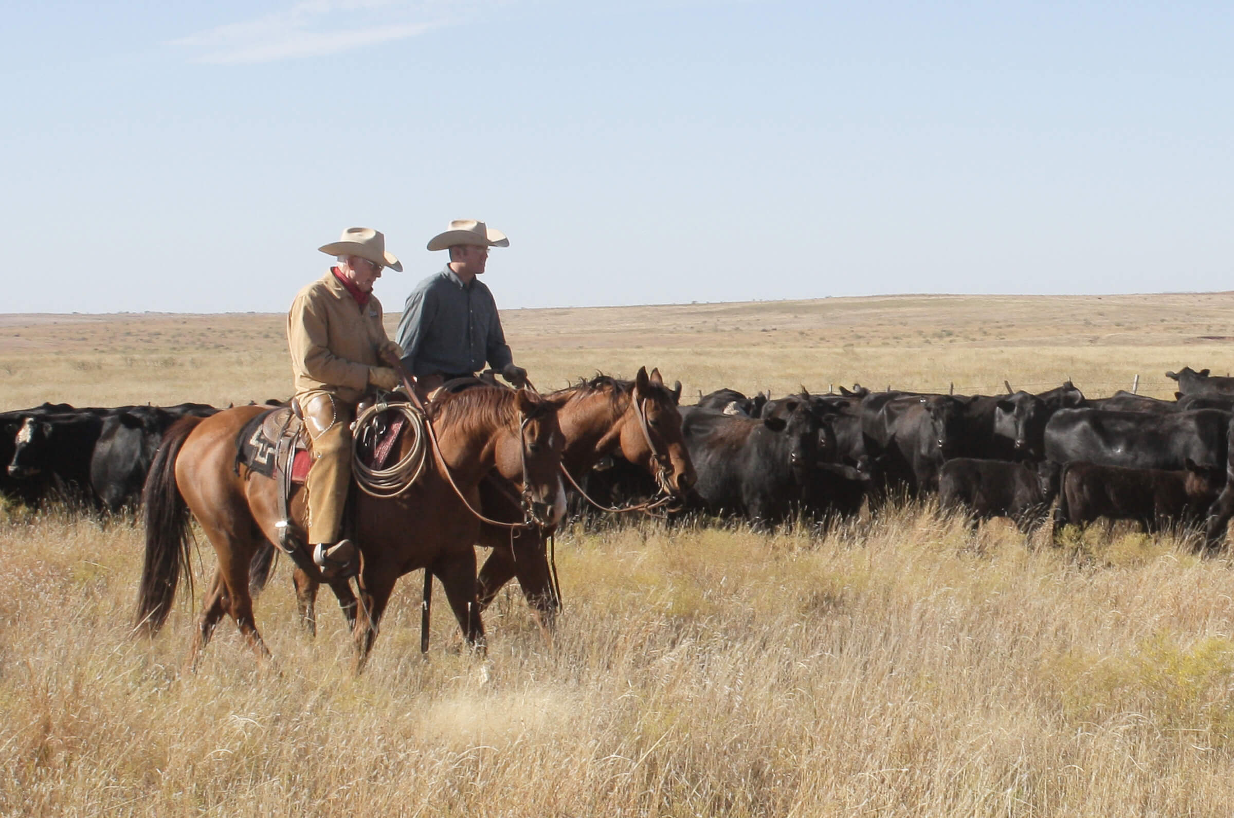 Home Texas and Southwestern Cattle Raisers Association