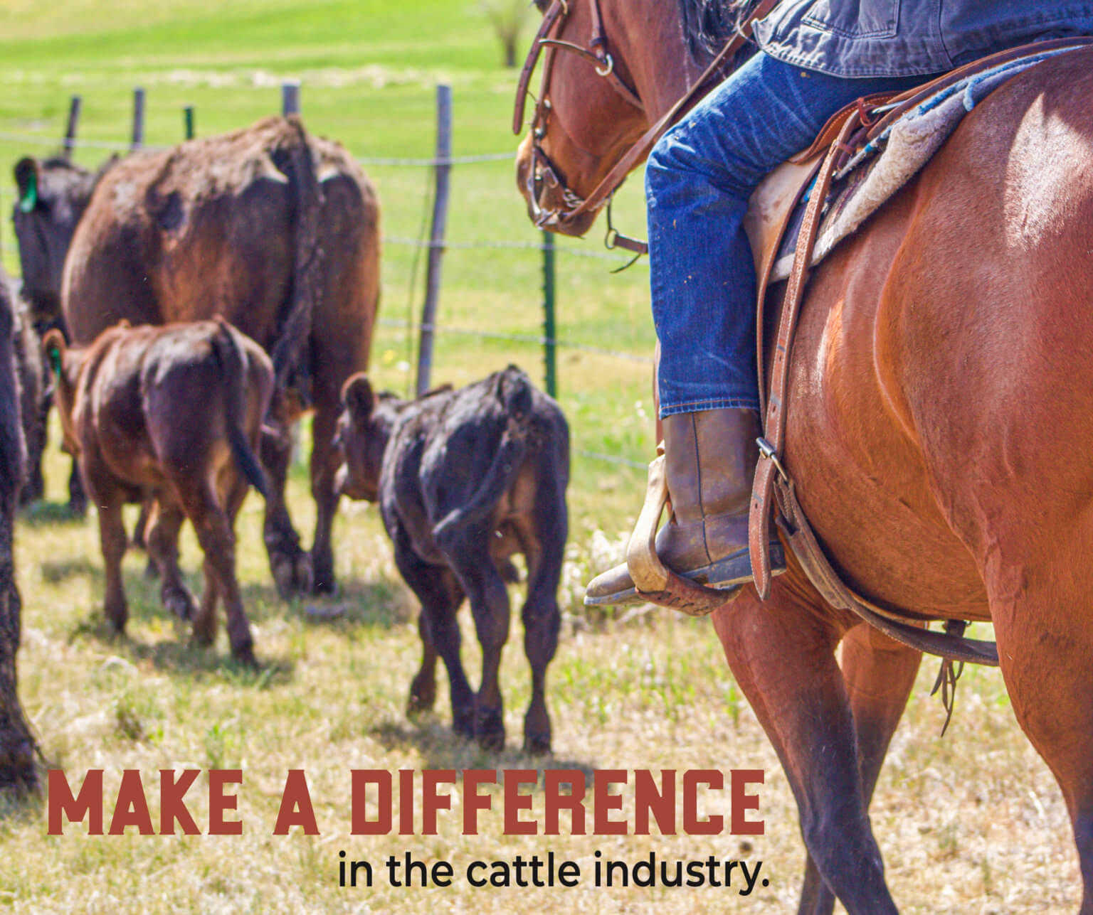 Sign up now for a TSCRA policy committee Texas and Southwestern