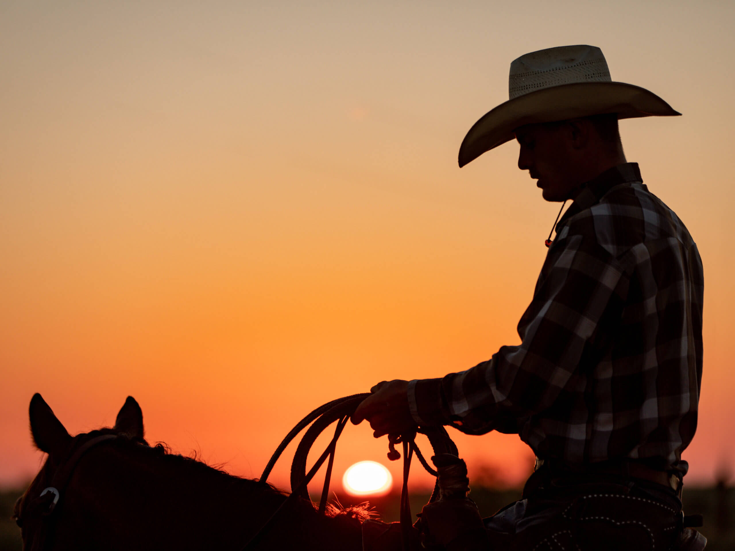 Texas ranching through the seasons - Texas and Southwestern Cattle ...