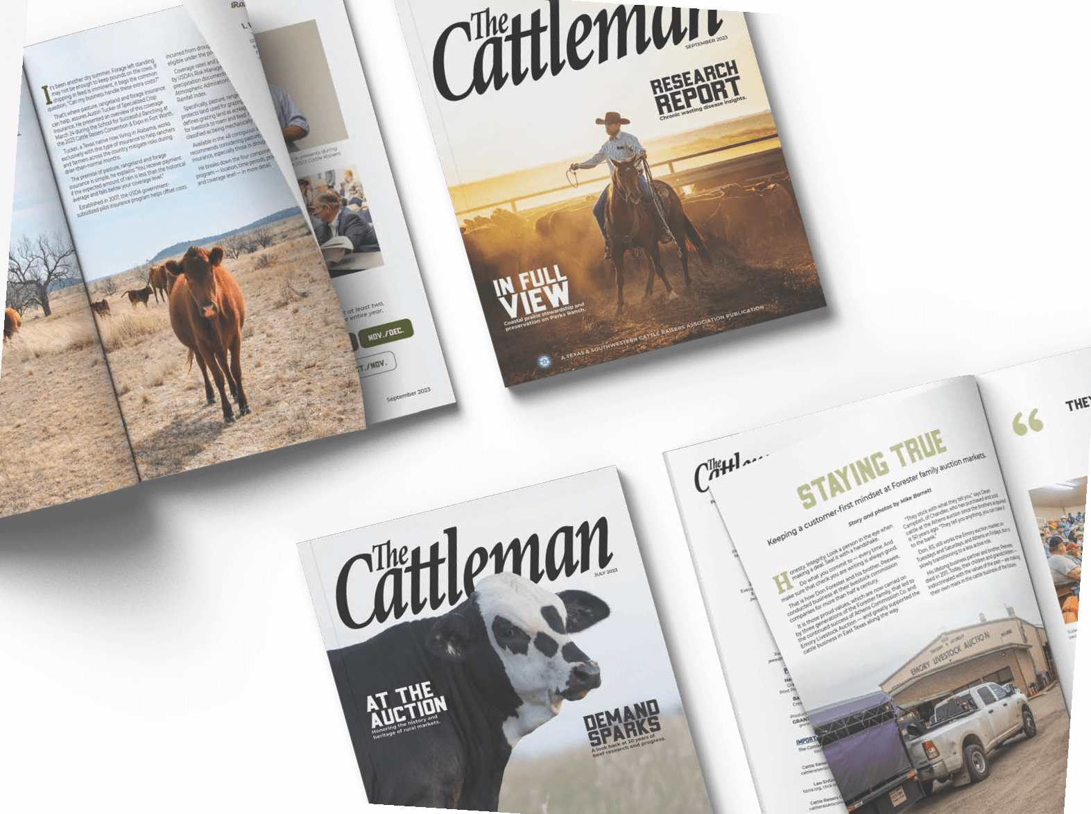 Sponsorships & Advertisement - Texas & Southwestern Cattle Raisers ...